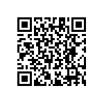 RT1206CRB071K96L QRCode