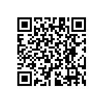 RT1206CRB07316KL QRCode