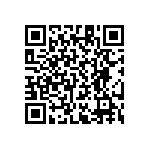 RT1206CRB0741K2L QRCode