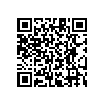 RT1206CRB0746K4L QRCode