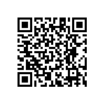 RT1206CRB074K48L QRCode