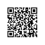 RT1206CRB075K11L QRCode