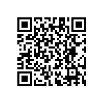 RT1206CRB0761K9L QRCode