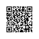 RT1206CRB0790K9L QRCode