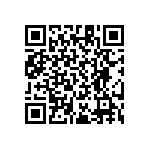 RT1206CRB07953KL QRCode