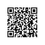 RT1206CRB079K53L QRCode