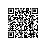 RT1206CRC0722R1L QRCode