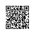 RT1206CRC07402RL QRCode