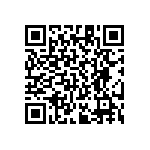 RT1206CRE0729K4L QRCode