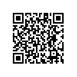 RT1206CRE0740K2L QRCode