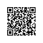 RT1206CRE07487RL QRCode