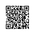 RT1206CRE07953KL QRCode