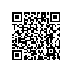 RT1206DRD07105KL QRCode