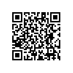 RT1206DRD0716R5L QRCode