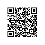 RT1206DRD0723K2L QRCode