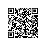 RT1206DRD07240RL QRCode