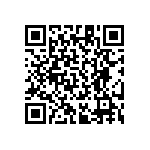 RT1206DRD07249RL QRCode