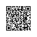 RT1206DRD0724R9L QRCode