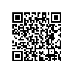 RT1206DRD0727R4L QRCode