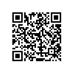 RT1206DRD07300RL QRCode