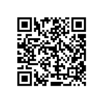 RT1206DRD07390RL QRCode