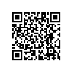 RT1206DRD073K01L QRCode