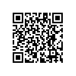 RT1206DRD073K57L QRCode