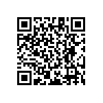 RT1206DRD078K45L QRCode