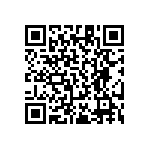 RT1206DRD0795R3L QRCode