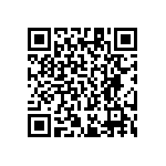 RT1206DRE071K91L QRCode