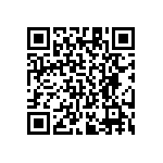 RT1206DRE0729K4L QRCode
