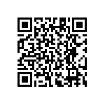 RT1206DRE0763K4L QRCode