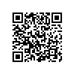 RT1206FRE0713RL QRCode