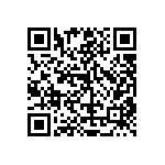 RT1206FRE071K13L QRCode