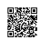 RT1206FRE071K96L QRCode