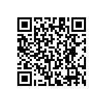 RT1206FRE0742K2L QRCode