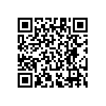 RT1206FRE076K81L QRCode