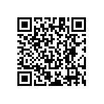 RT1206FRE078R06L QRCode