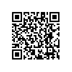 RT1206FRE079K09L QRCode