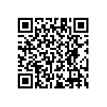 RT1206WRB0710K2L QRCode