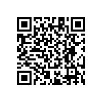 RT1206WRB071K05L QRCode