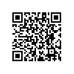 RT1206WRB07953RL QRCode