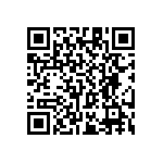 RT1206WRC0710K2L QRCode