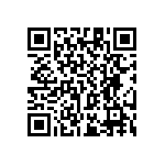 RT1206WRC0711K3L QRCode