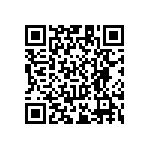 RT1206WRC0718RL QRCode