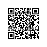 RT1206WRC07487RL QRCode