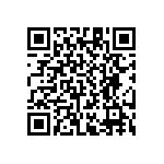 RT1206WRD0743K2L QRCode