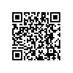 RT1210WRB079K53L QRCode