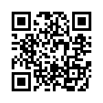 RT12C2L101 QRCode