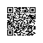 RT2010DKD07300RL QRCode